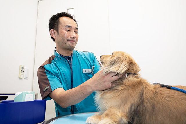 狩野動物病院 副院長　澤田大介（さわだ　だいすけ）