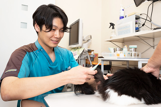 狩野動物病院 獣医師　高安聡